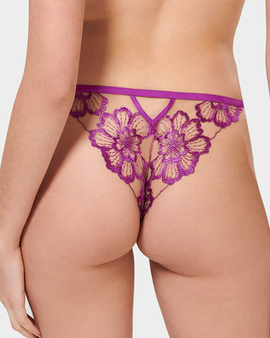 Catalina Brief Bright Violet/Sheer