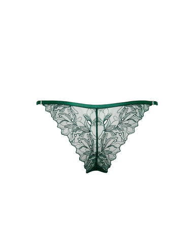 Astra Brief Aventurine Green