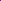 Set: Colette Purple Rose