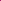 Set: Sapphira Begonia Pink